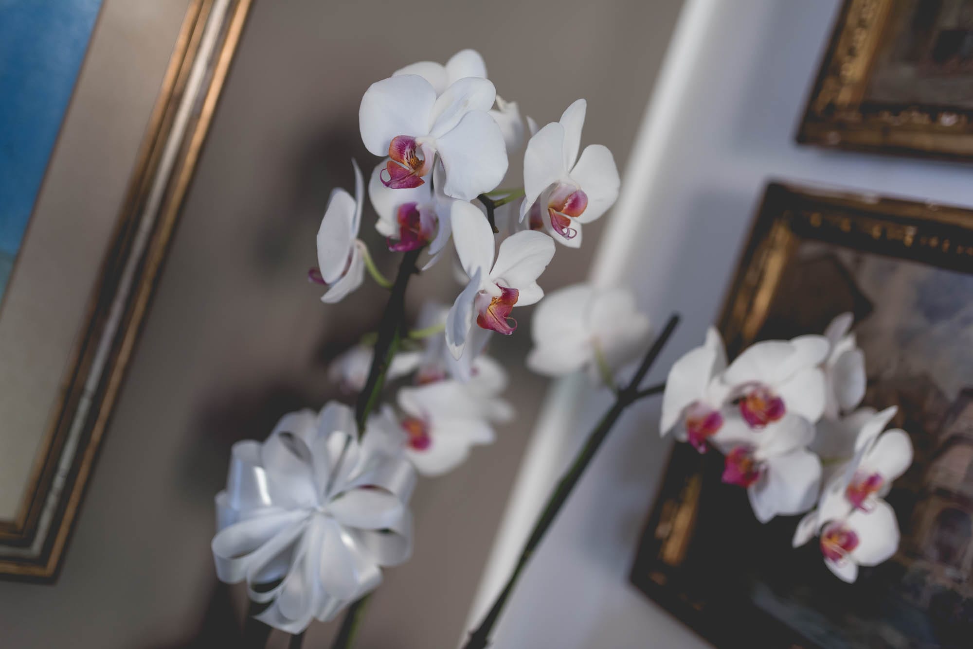 fotografo matrimonio misinto la botanica varese saronno romantico creativo elegante artistico lamperti